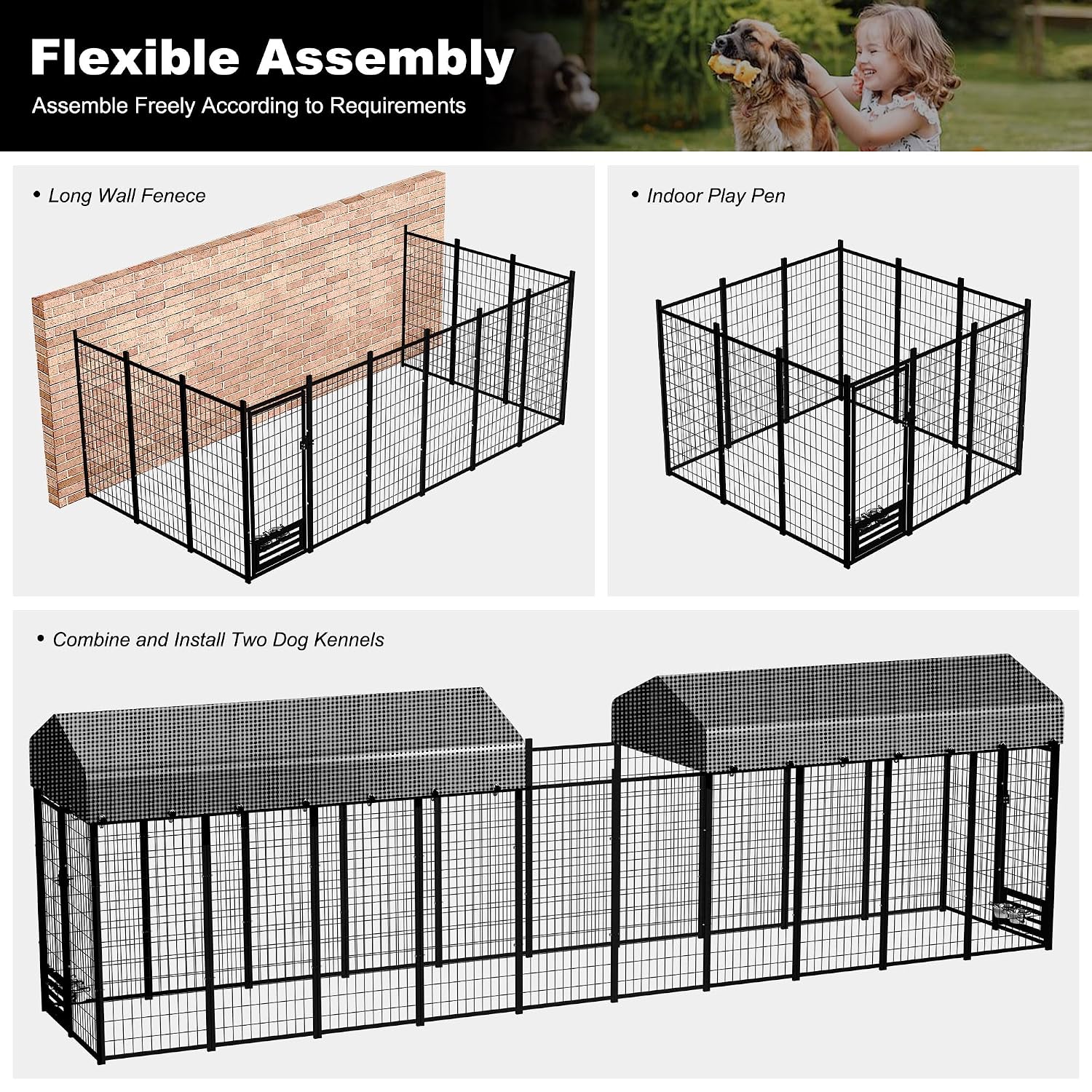 Heavy-Duty Dog Kennel with Roo - огляд і ціна Feeding